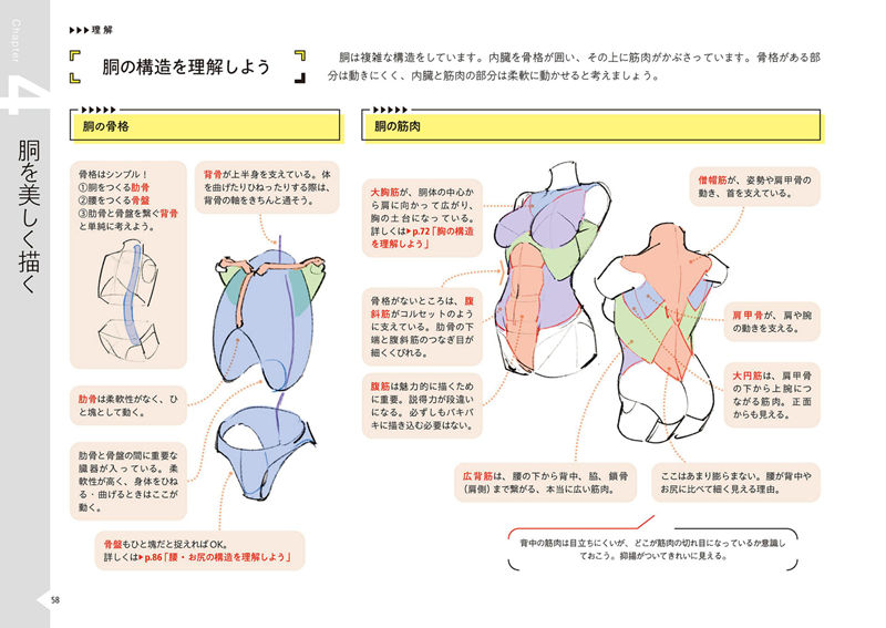 [漫画教程][日文]美丽身体的绘画练习册 附带特典[160P]