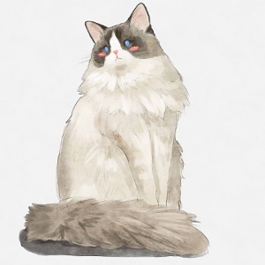 鸩井的头像